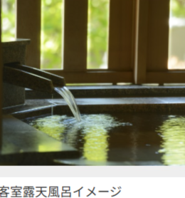 別邸-朧月夜の施設画像-日本旅行-11-12-2025_03_07_PM